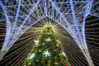 Noel arkaplanı açık havada Noel ağacı ve geceleri ışıklar