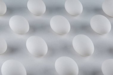 Beyaz arkaplanda tavuk yumurtası deseni