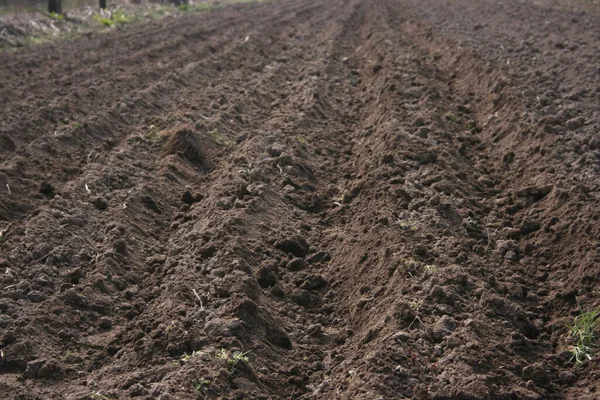 Geploegd Veld Het Voorjaar Van — Stockfoto