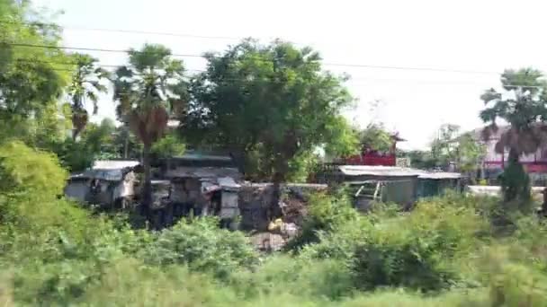 Prairies et rizières, Nature Couleur vert Arrière-plan Ciel bleu, Fleurs d'herbe 
