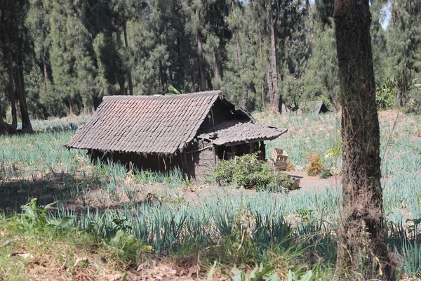 Une Maison Dans Une Ferme Isolée — Photo