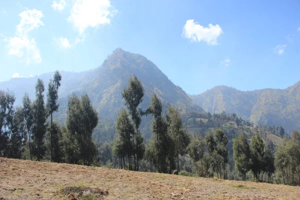 Атмосфера Semeru Mountain National Park Tengger Bromo — стокове фото