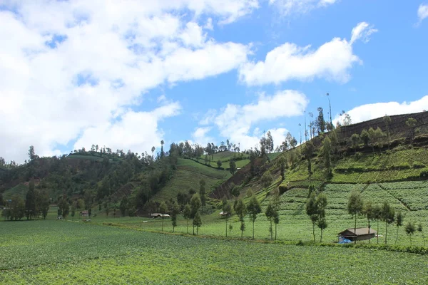 Suasana Lapangan Desa Ranu Pane Bromo Tengger Taman Nasional Semeru — Stok Foto