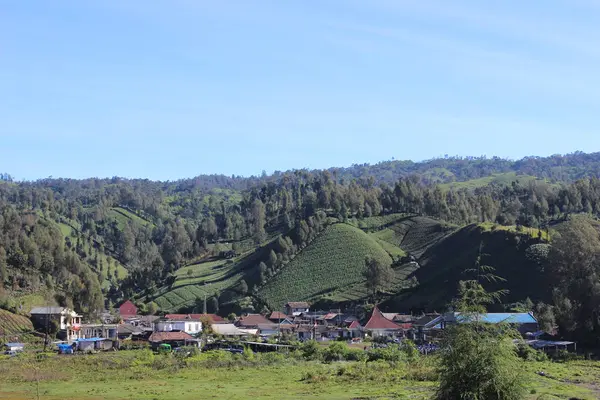 Atmosfären Fälten Byn Ranu Pane Bromo Tengger Semeru Nationalpark — Stockfoto