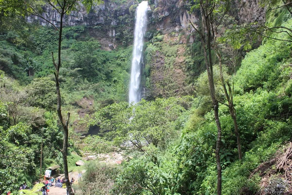 Die Atmosphäre Coban Rondo Wasserfall Mit Vielen Affen Malang Ostjava — Stockfoto