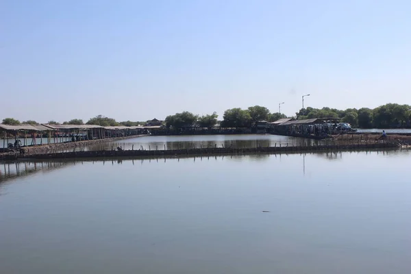 Lagoa Pesca Peixe Leiteiro Distrito East Java Sidoarjo Indonésia — Fotografia de Stock