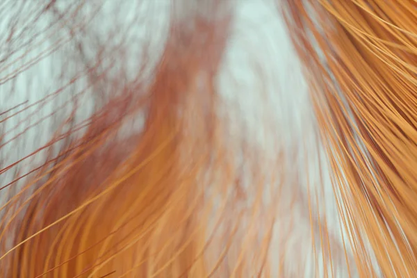 Ροές καμπύλες με πολύχρωμο φόντο, 3d απόδοση. — Φωτογραφία Αρχείου