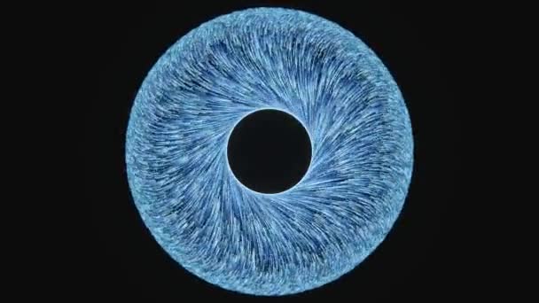 Blau fließende Linien, leuchtende Linien, 3D-Darstellung. — Stockvideo