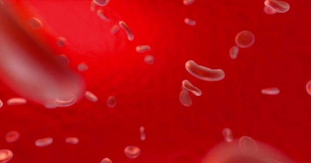 Blood and red blood cells,abstract conception,life and health,3d rendering. — Stock Video