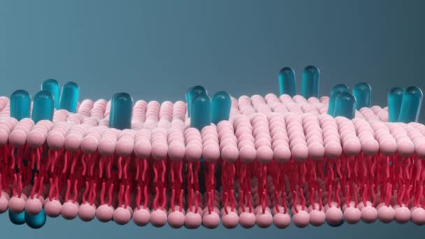 Cytomembran och coronavirus, medicinskt koncept, 3D-rendering. — Stockvideo