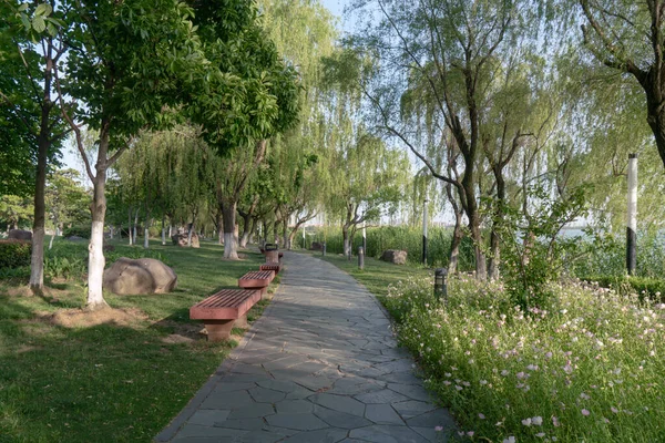 Paesaggio Del Parco Del Centro Città Foto Suzhou Cina — Foto Stock