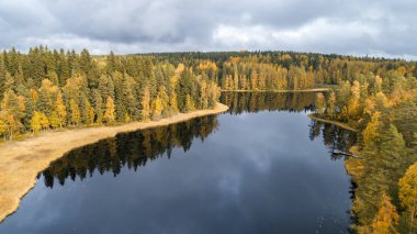 Sonbahar sarı ormanı ve bulutlar suya yansıdı. Ormanda sonbahar ağaçları. Yaz ormanında temiz bir göl. Göl kenarında kamp yapmak. Finlandiya 'da doğa rezervi.
