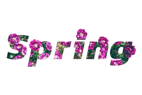 Palavra flor primavera . — Fotografia de Stock