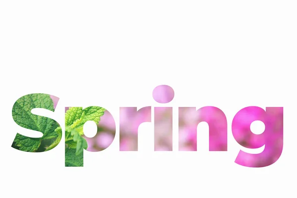 Spring flower word. — Stock Photo, Image