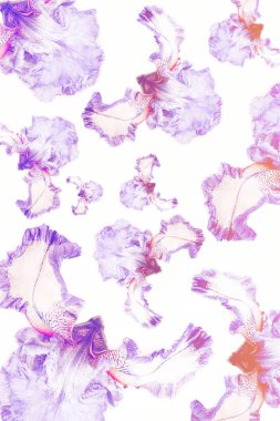 Parlak renkli çiçek.