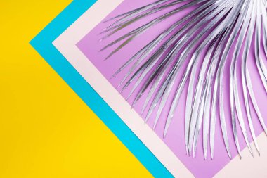 Silver palm branch on a background.