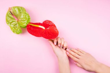 Manicure and flowers. 
