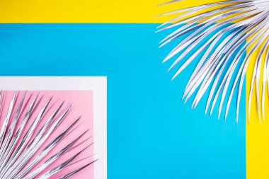 Silver palm branch on a background.