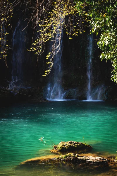 Cachoeira na floresta. — Fotografia de Stock