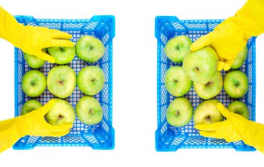 Elma ve eldiven kutuları.