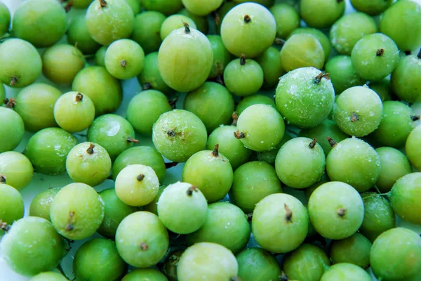 Frozen gooseberries macro shot