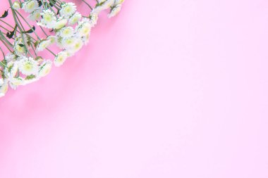 Renkli arkaplanda çiçekler