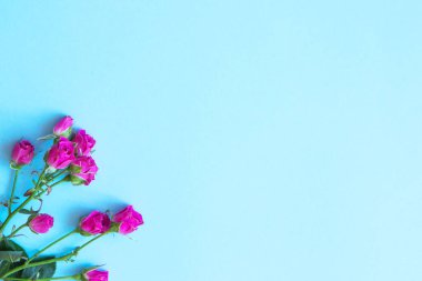 Renkli arka planda çiçekler. Düz yatıyordu