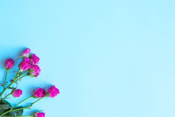 Цветы на цветном фоне. Плоский лежал
