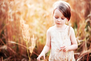 otların arasında bir çocuk çalış