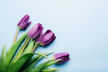 Menekşe Lale buketi