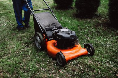 Bir adam çimenleri biçiyor.