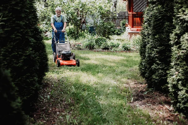 En man klipper gräset — Stockfoto