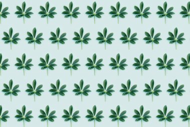 Mavi arka planda yeşil yaprak, egzotik tropikal yaprak deseni