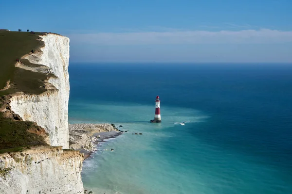 Strandfyr, Seven Sisters, Sussex, England, Storbritannien Stockbild