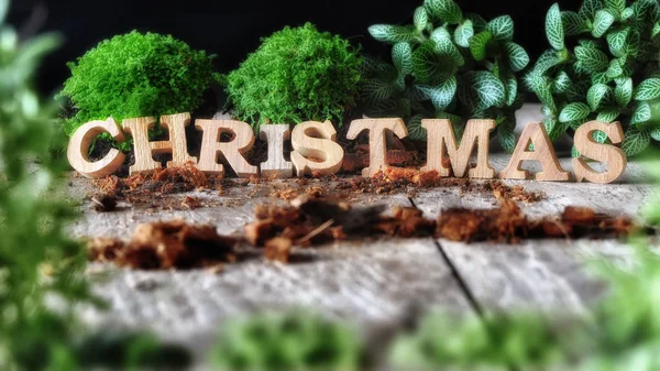 Woord van de Merry Christmas op houten achtergrond — Stockfoto