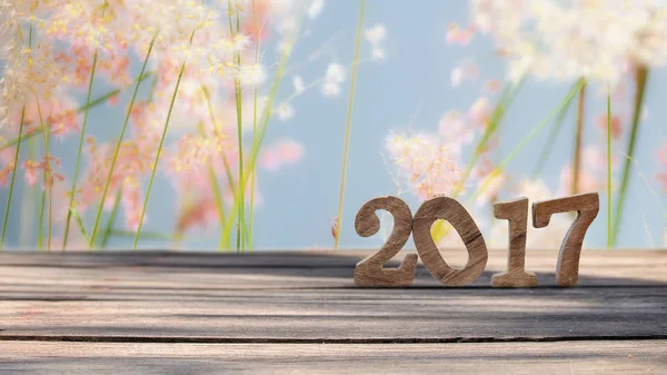 Happy new year 2017 on wooden plank and grasses flower background — Stock Photo, Image