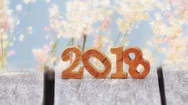Ahşap tahta ve bulanıklığı otlar çiçek arka plan numaraya 2018