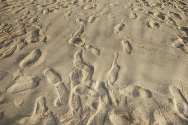 Tropik sahilde kahverengi kum üzerinde ayak sesleri