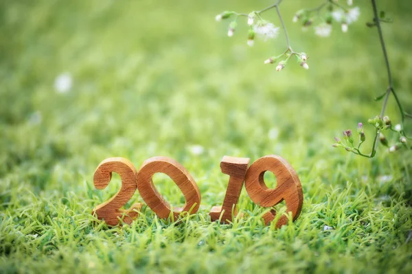 Happy new year 2019, nature concept — Stock Photo, Image