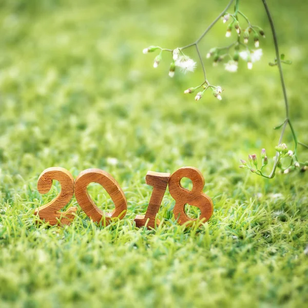 Happy new year 2018, nature concept — Stock Photo, Image