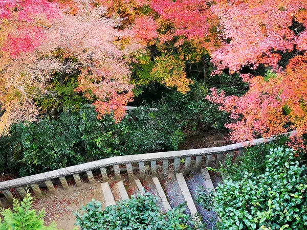 Gehwege Und Geländer Mit Schönen Herbstblättern Arashiyama Japan Vom Daihikaku — Stockfoto