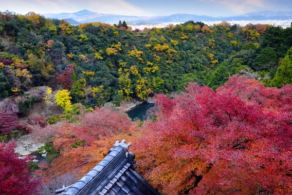 Colorful of maple forest with roof of Daihikaku Senkoji temple at Arashiyama in Kyoto, Japan