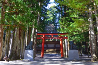Koyasan, Japonya - 20 Kasım 2019: Koyasan, Japonya 'daki Danjo Bahçesi Kompleksi' nden sedir ağaçlı kırmızı torii
