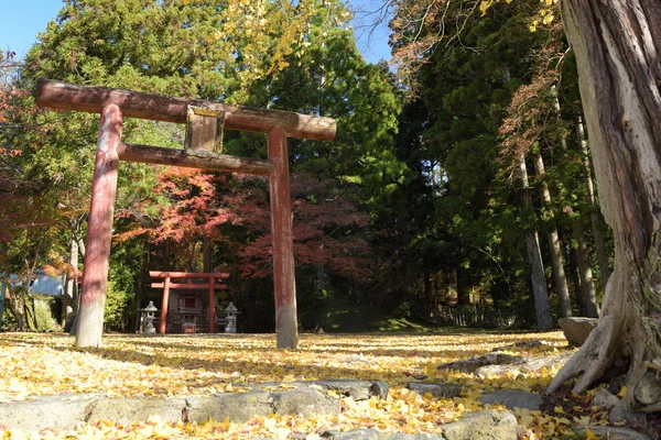 Koyasan Japán 2019 November Vörös Torii Koyasan Város Területén Ősszel — Stock Fotó