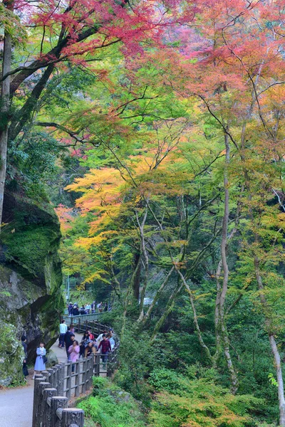 Osaka Japón Noviembre 2019 Vista Largo Del Camino Cascada Minoo —  Fotos de Stock