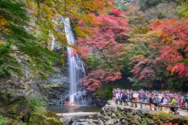 Osaka Japonya - 24 Kasım 2019: Minoo Park 'taki Minoo şelalesinde sonbahar renginde yerli halk ve turist