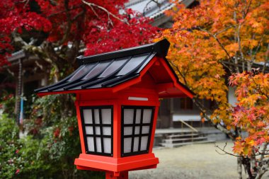 Japonya 'nın Minoo Park kentindeki Japon bahçesinde sonbahar mevsiminde yakın plan kırmızı fener.