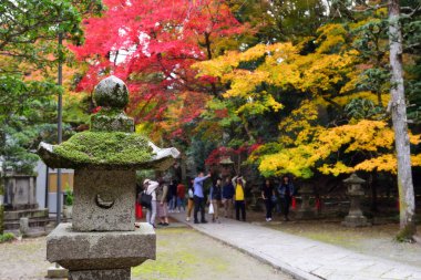 Osaka, Japonya - 24 Kasım 2019: Japonya 'nın Osaka kentindeki Minoo parkındaki Minoo şelalesine giderken tapınakta yosun bulunan çimento feneri