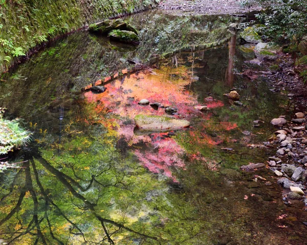 Αντανάκλαση Του Φθινοπωρινού Χρώματος Στον Ποταμό Μινώο Στην Οσάκα Της — Φωτογραφία Αρχείου