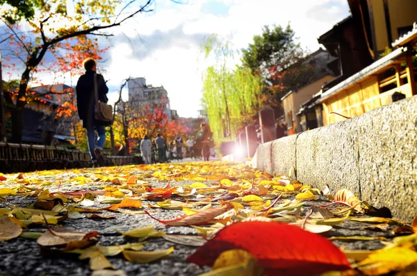 Straßenansicht Von Blättern Auf Asphaltstraße Mit Verschwommenem Stadthintergrund — Stockfoto